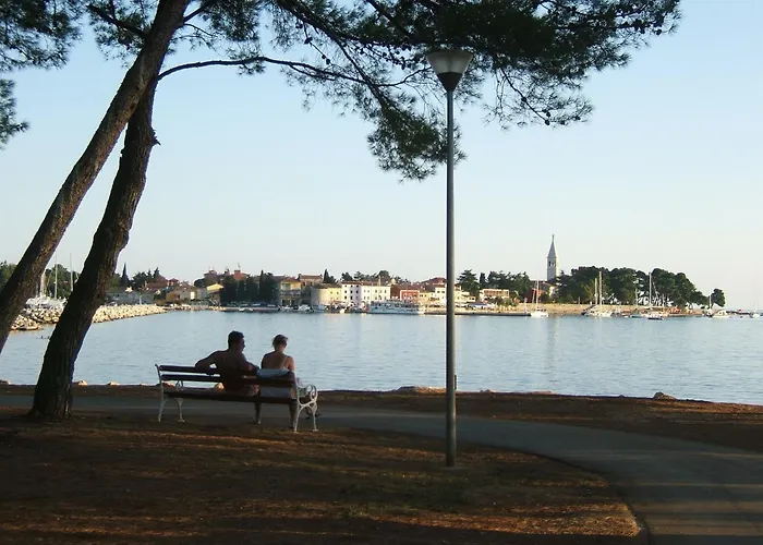 Erika Ap 4 Nr2 * Novigrad Istria